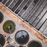 Microbes and Their Role in Sustainable Wastewater Treatment