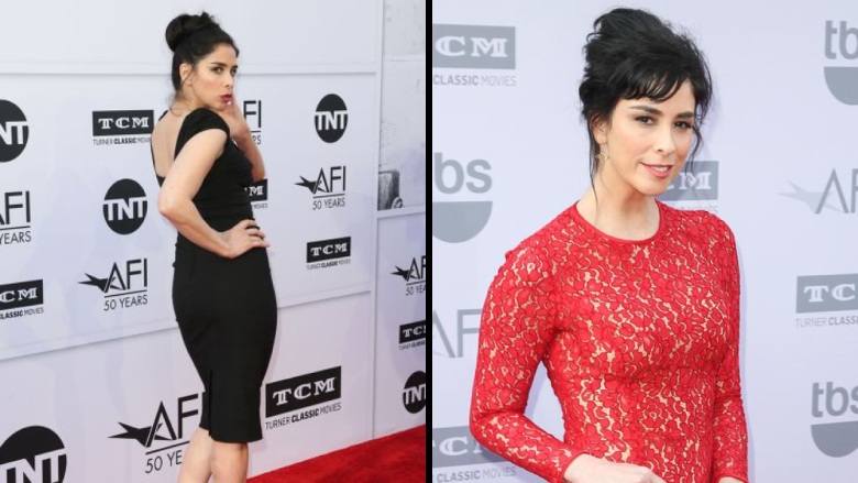 What is Sarah Silverman net worth?