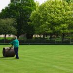 Lawn Care for Greener Lawn