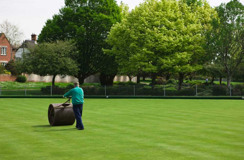 Lawn Care Tips for a Greener, Healthier Lawn